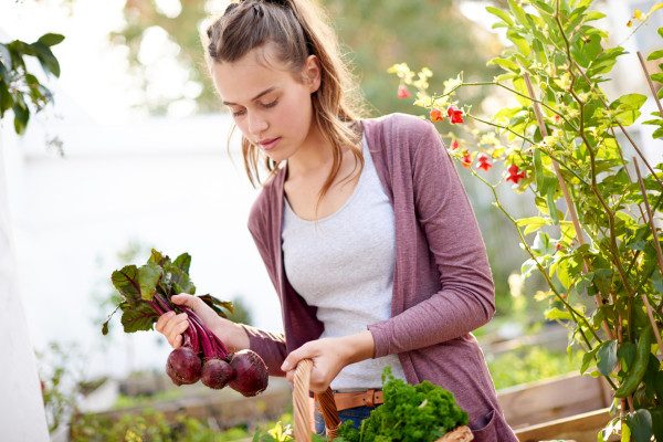 Edible Landscaping: Growing Your Own Food in Staunton's Backyard Paradise