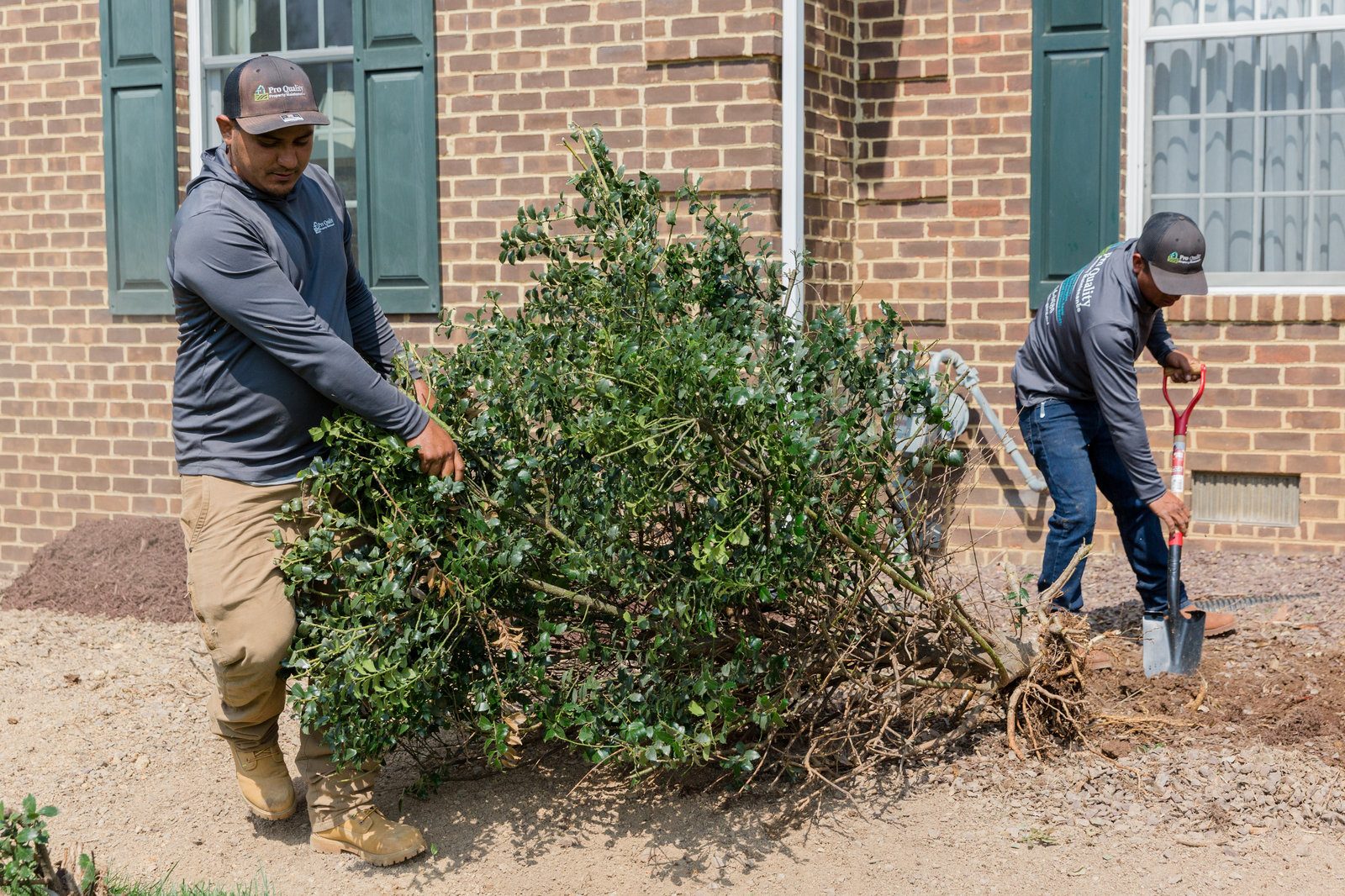 Pro Quality Property Maintenance project 56