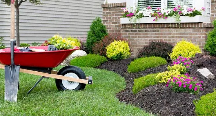 Landscaping