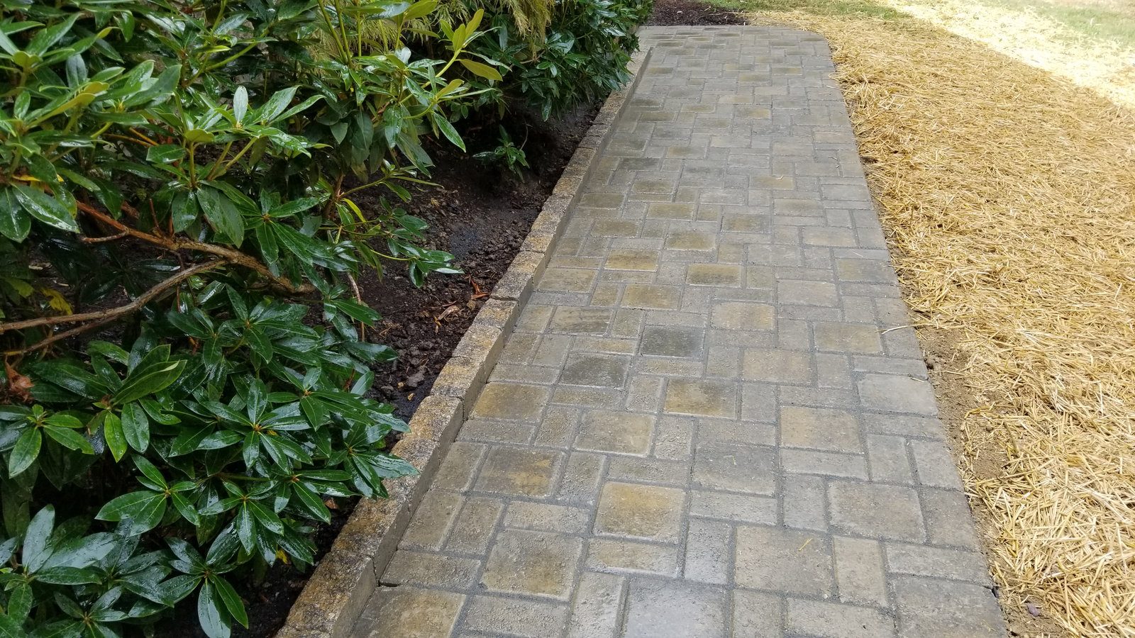 Pro Quality Property Maintenance project 14