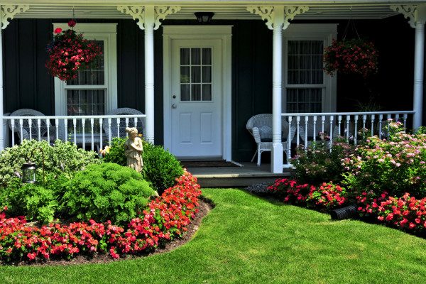 lawn care