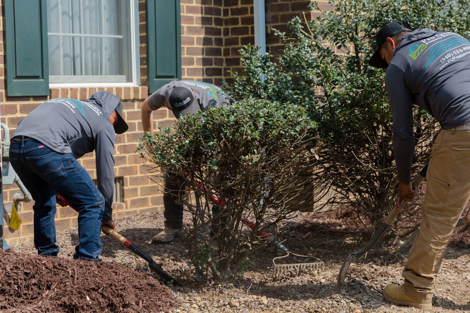 Pro Quality Property Maintenance project 53