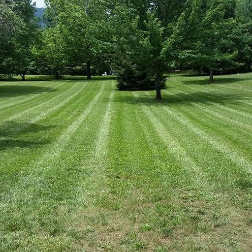 Lawn Care