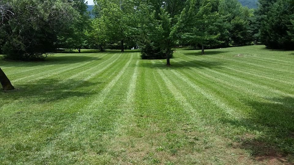 Pro Quality Property Maintenance project 43