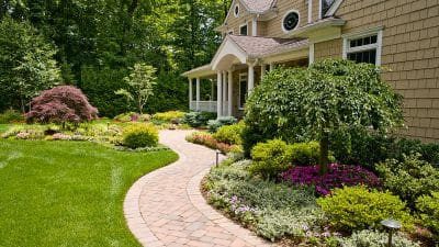 Incorporating Native Plants into Your Hardscape Design