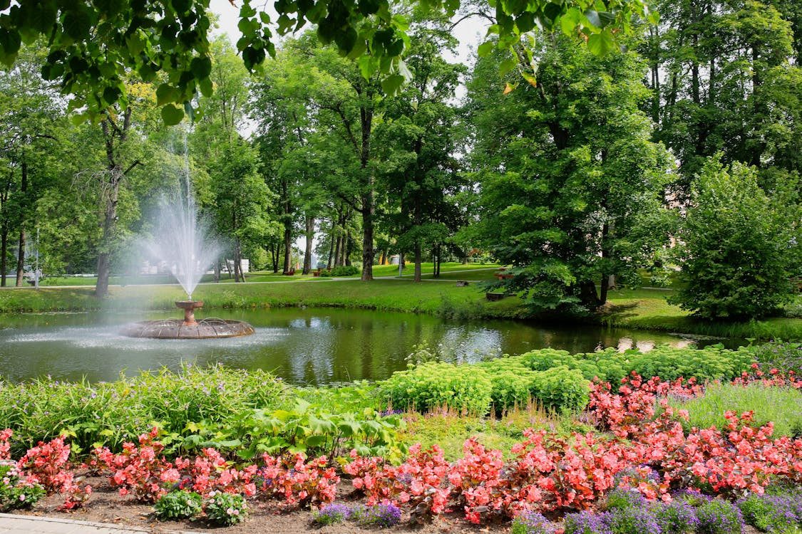 Native Plants in Staunton Virginia Landscaping