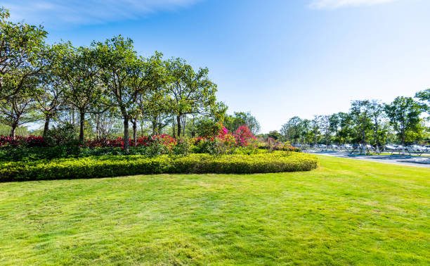 Transforming Your Staunton Yard: Top Landscaping Trends of 2024