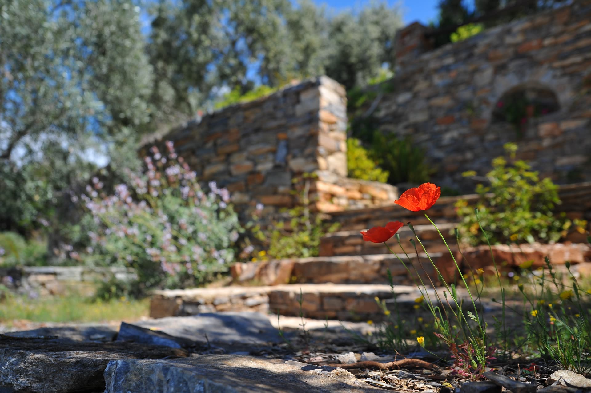 Pro Quality Property Maintenance Landscaping and Lawn Care