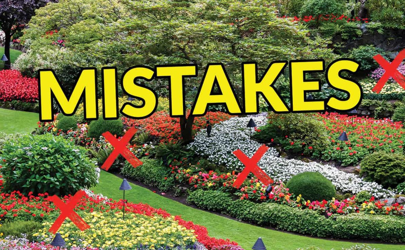 Top Landscaping Design Mistakes and How to Avoid Them