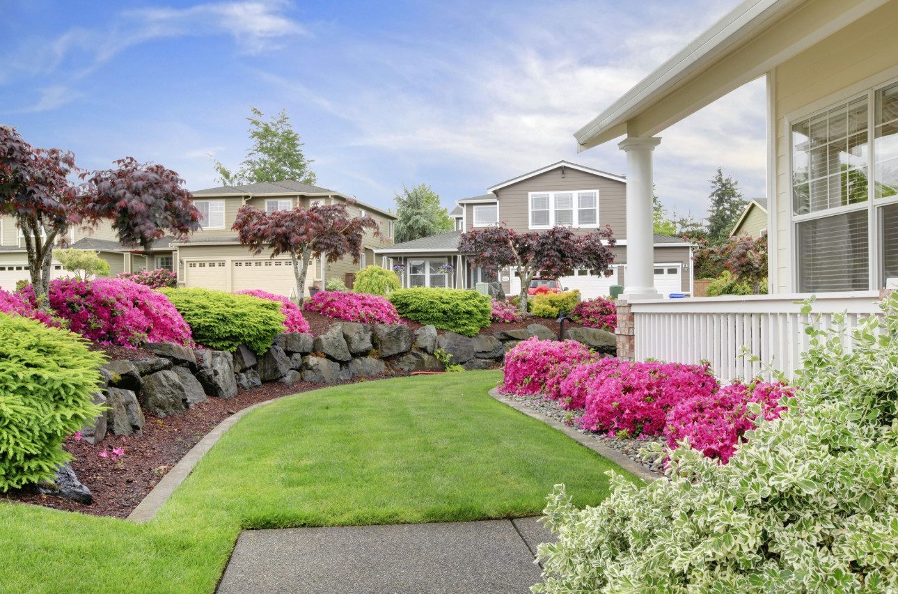 Spring Landscape Planning Tips for a Beautiful Outdoor Space in Staunton, VA