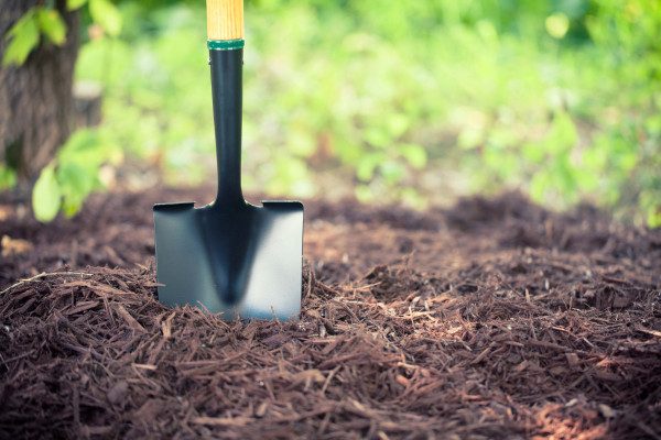 mulching