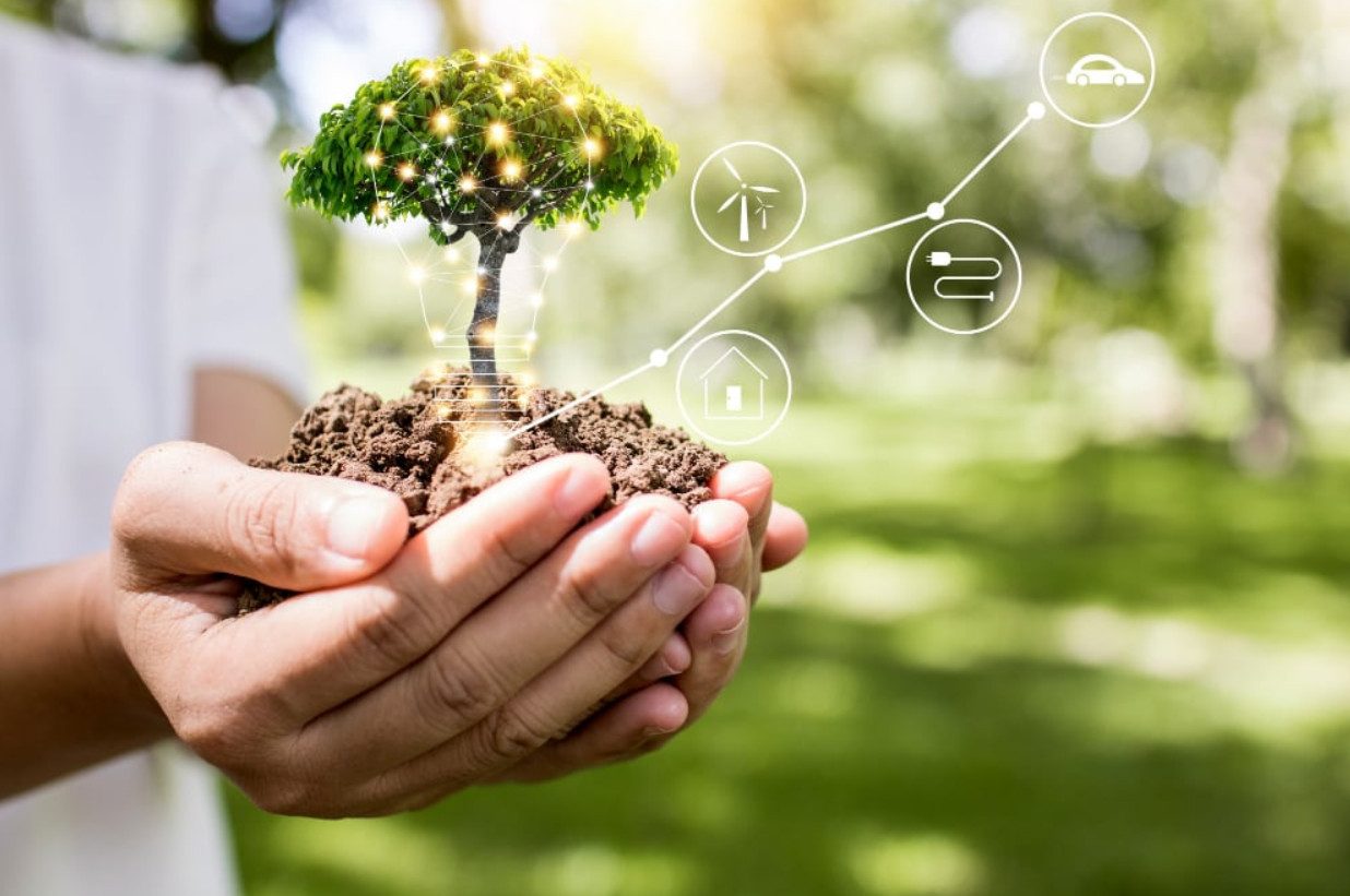 How Proper Tree Placement Improves Energy Efficiency in Staunton Homes
