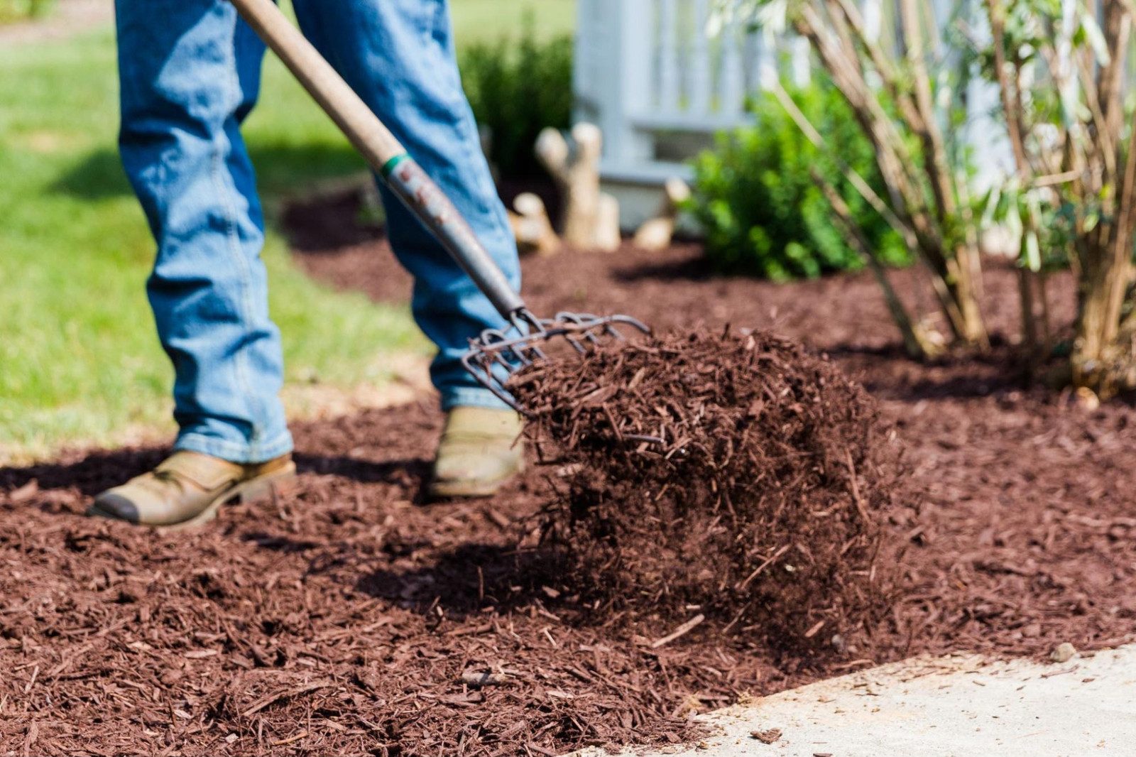 Lawn care