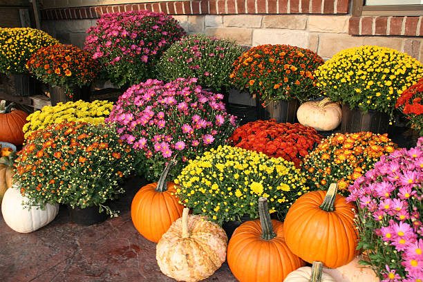 Flowers Landscaping Staunton VA
