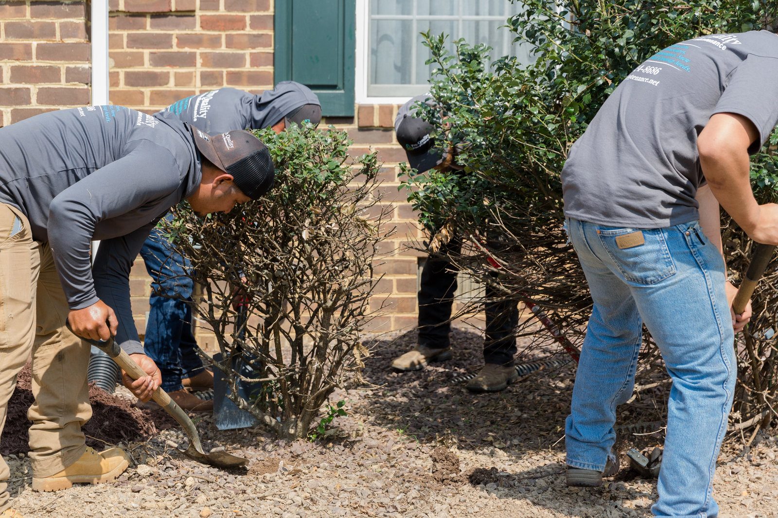 Pro Quality Property Maintenance project 54