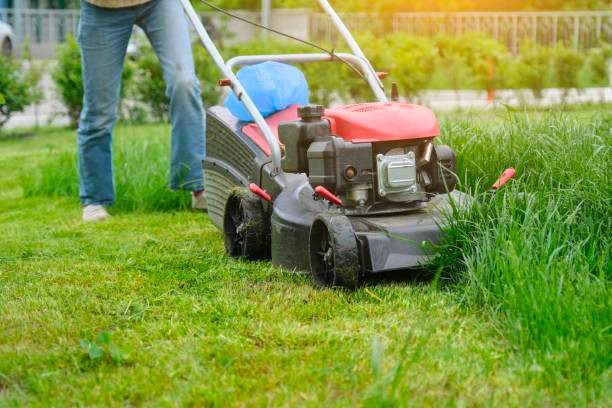 lawn care for your property