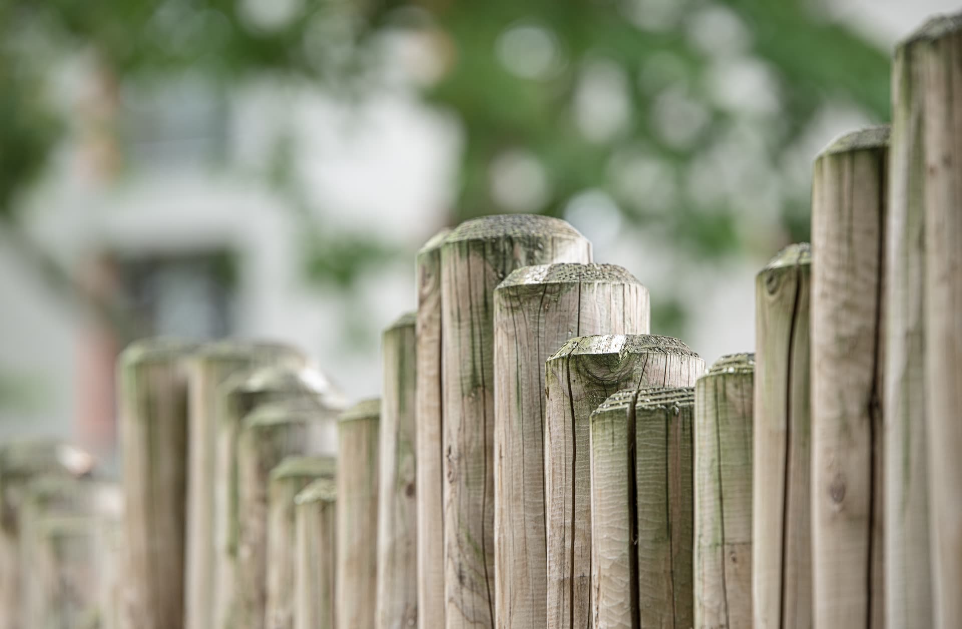 Pro Quality Property Maintenance Landscaping and Lawn Care